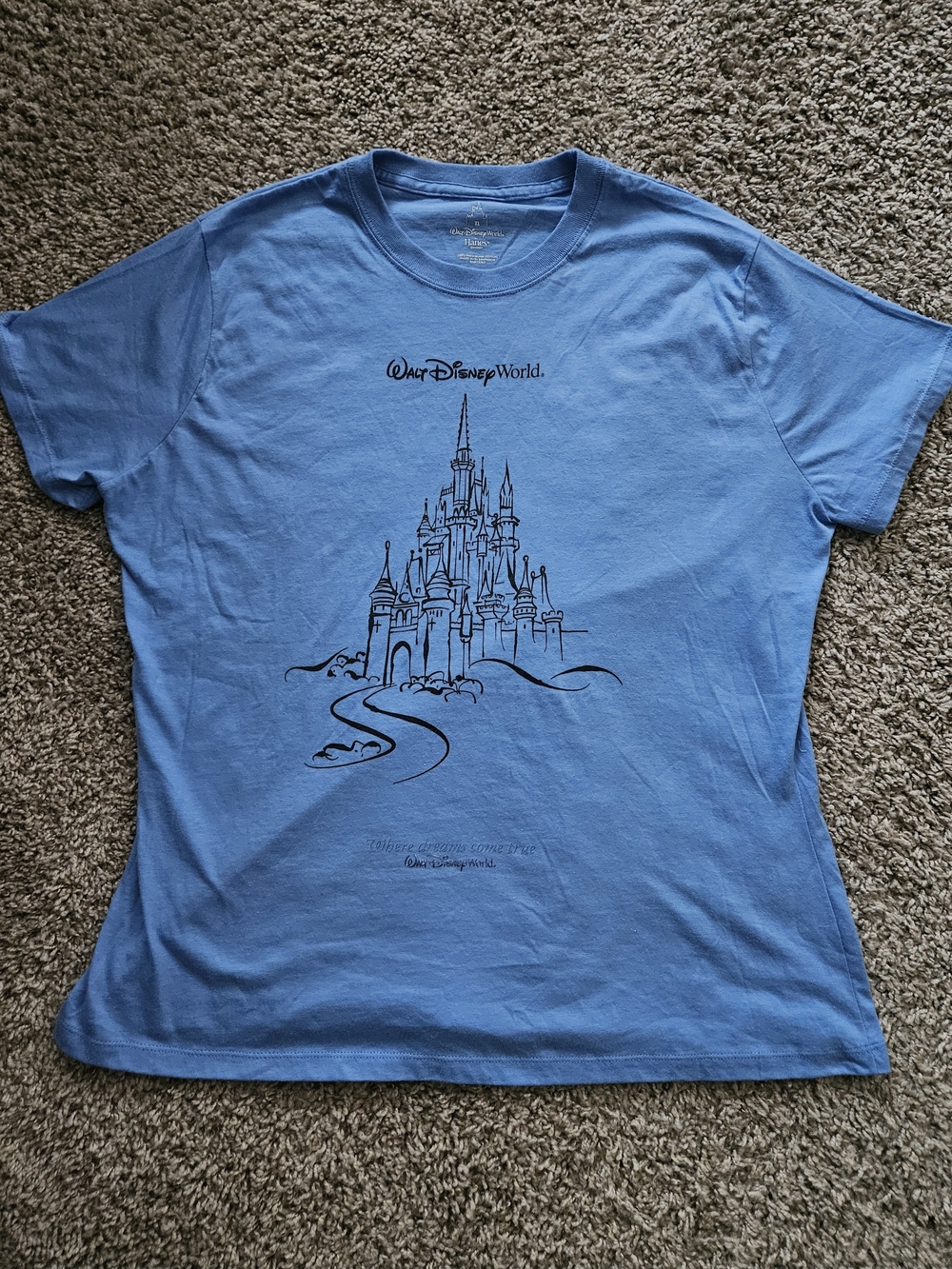 Hanes Light Blue Walt Disney World Tagless Crewneck Tee